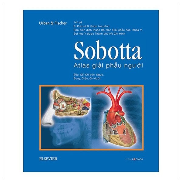 Sách - Sobotta Atlas Giải Phẫu Người (Phiên Bản Thứ 14)