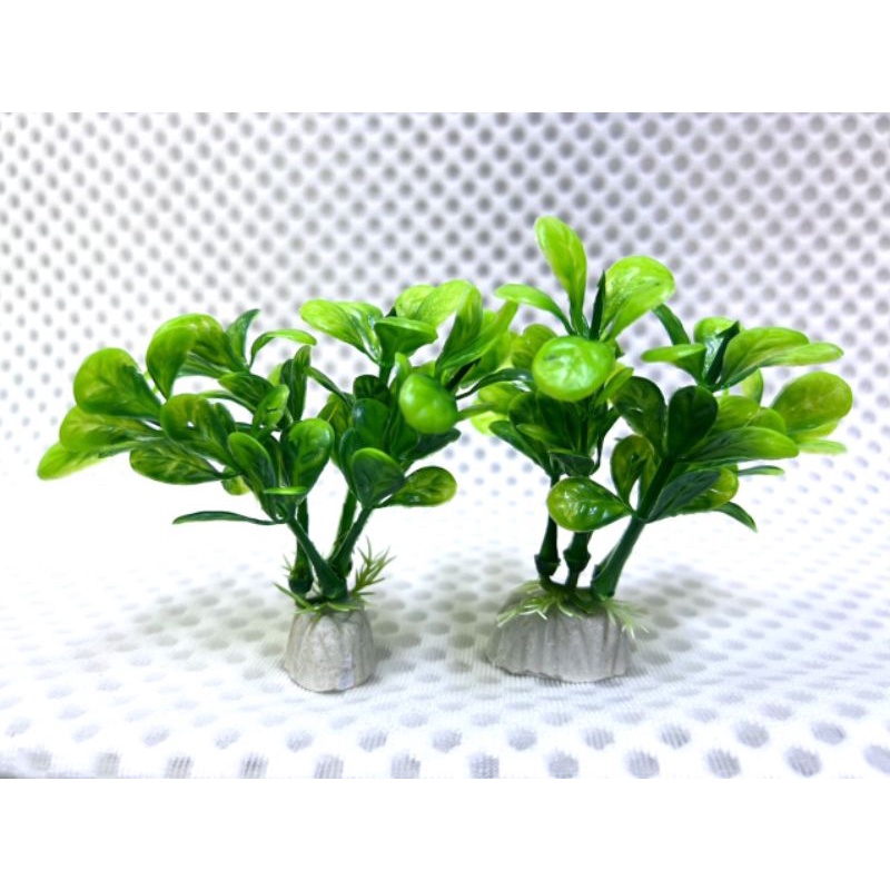 Cây nhựa trang trí Cho Ốc Leo Cao 10cm