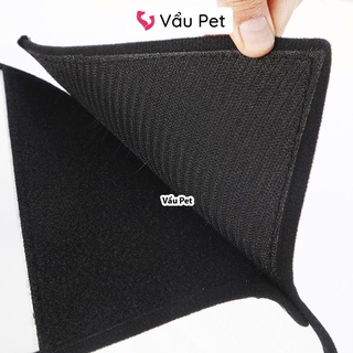Vòng chống liếm cho chó mèo thú cưng