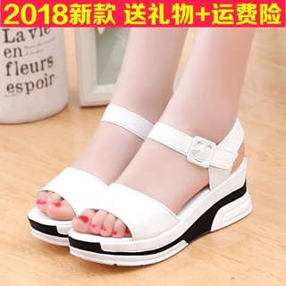 Dép quai hậu nữ hàng quảng châu