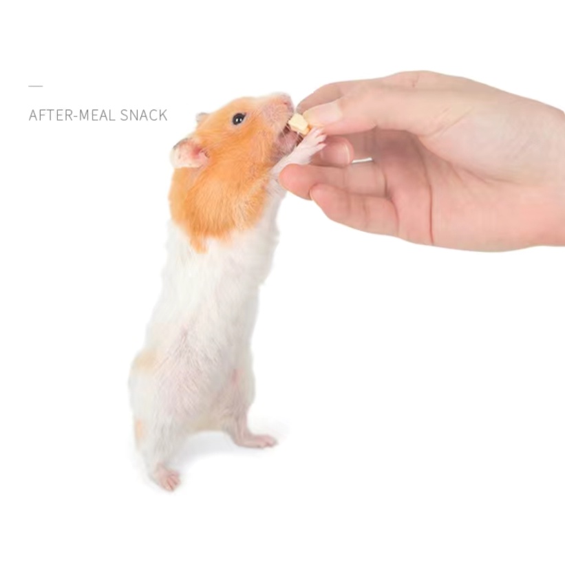 Jonsanty Táo sấy bổ sung vitamin cho Thỏ, hamster, bọ ú,nhím, chinchilla, sóc, sóc bay 50g, 150g