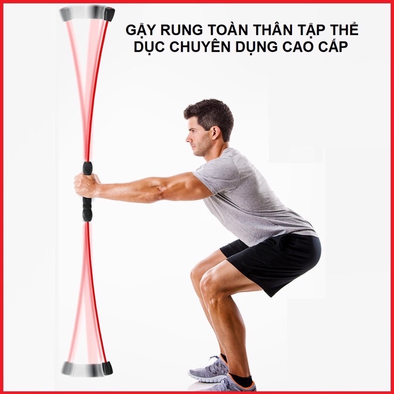 Gây rung tập GYM thể dục thể thao chuyên dụng cao cấp.