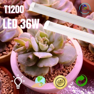 Đèn LED Kích Thích Tăng Trưởng Cho Cây Trồng DELPONTING T1200 LED 36W, Đèn Quang Hợp Trồng Cây Trong Nhà