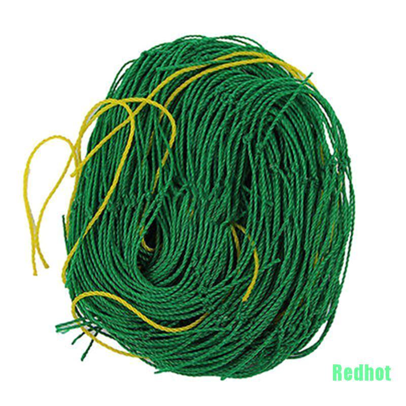 Lưới Trồng Cây Dây Leo Chất Lượng Cao