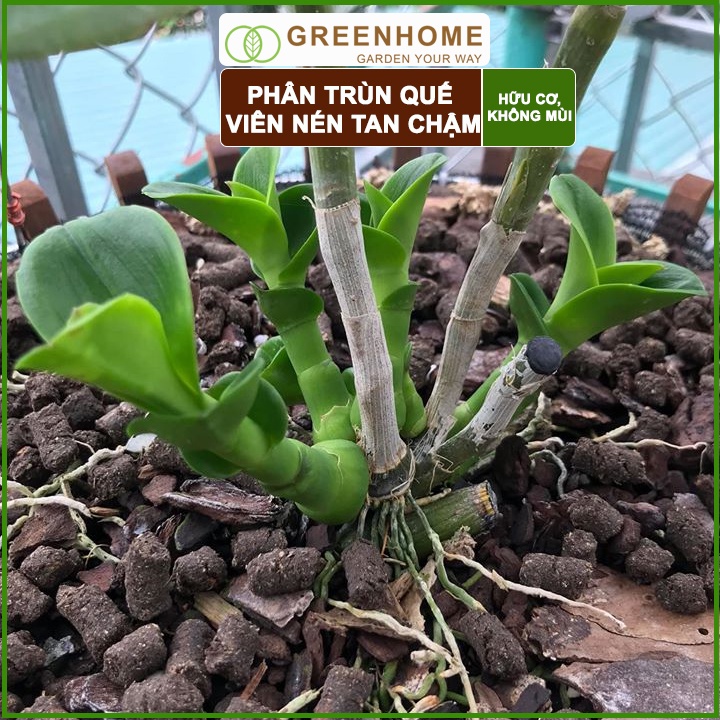 Phân Trùn quế viên nén Sfarm, bao 1kg, nguyên chất, chuyên bón hoa Lan, cây cảnh, bonsai |Greenhome