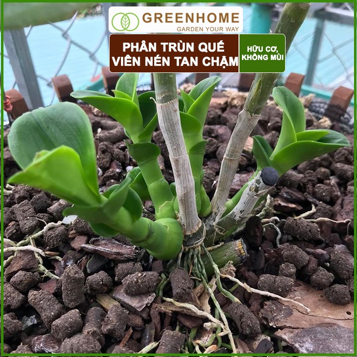 Bộ 2 Phân Trùn quế viên nén Sfarm, bao 1kg, nguyên chất, chuyên bón hoa Lan, cây cảnh, bonsai |Greenhome