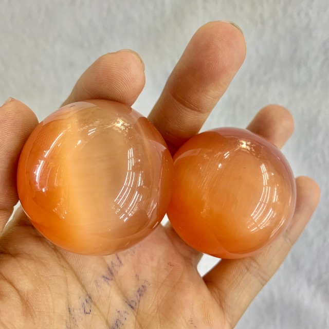 Bi lăn tay Mắt Mèo đỏ cam