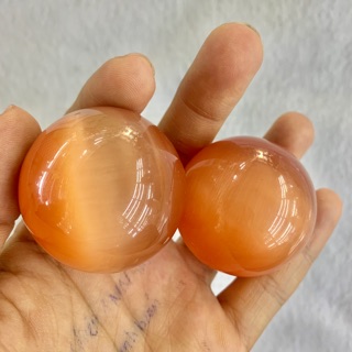 Bi lăn tay Mắt Mèo đỏ cam