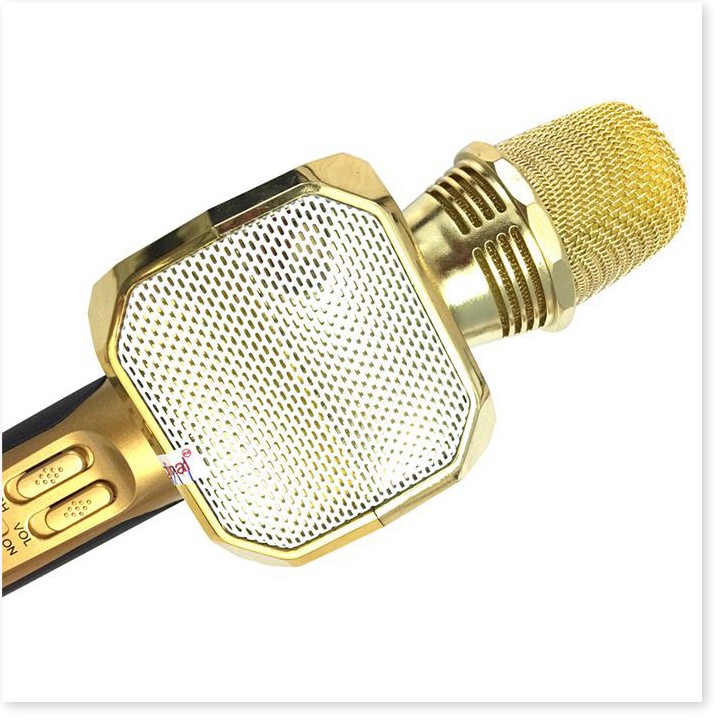 Micro Karaoke Bluetooth kèm loa SDRD SD-10