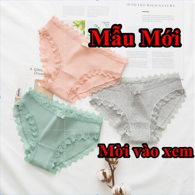Quần lót nữ viền ren lưng cao ren lưới cotton ren - Quần lót nữ ren lưới sexy cotton ren