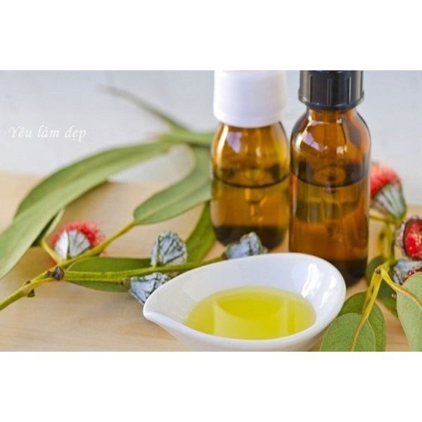 Tinh dầu Khuynh Diệp THE LENA Nguyên Chất (Eucalyptus Globulus)  Xông Phòng, Sổ Mũi, Tốt cho bé 10ml