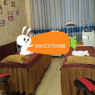 Ga trải giường spa