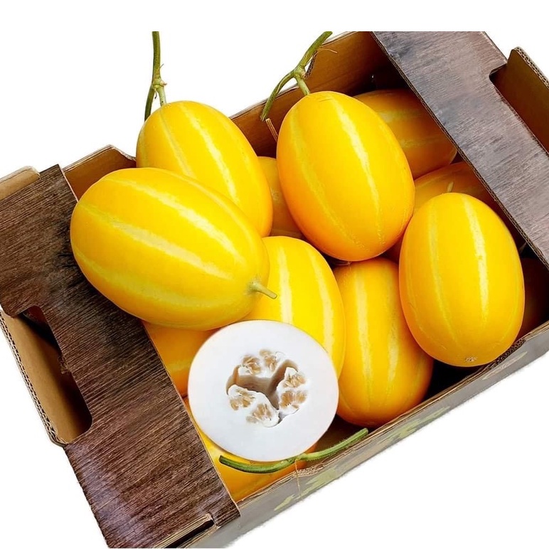 Hạt Giống Dưa Lê Hàn Quốc MAKUWA - Giống Nhật Bản Nhập Khẩu