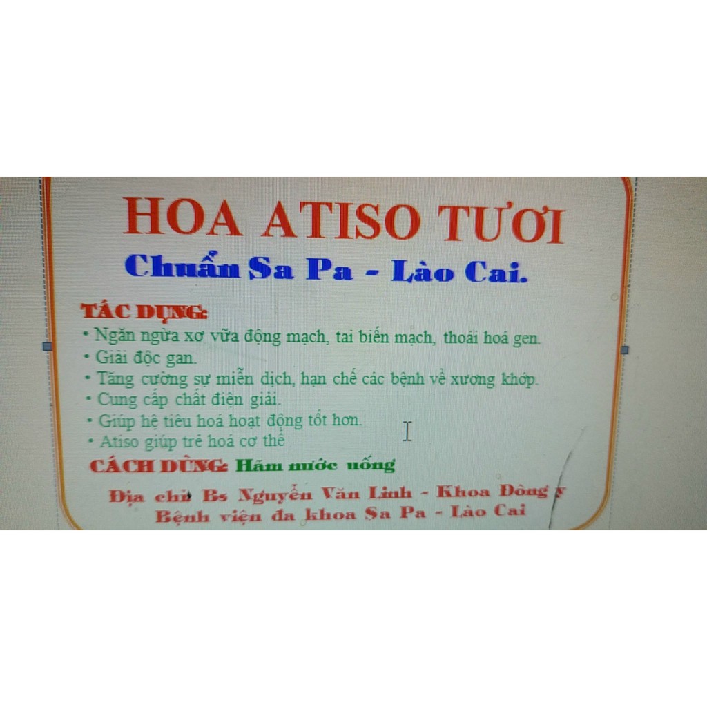 HOA ATISO TƯƠI CHUẨN SAPA- Lào Cai 0.5kg ~ 1kg