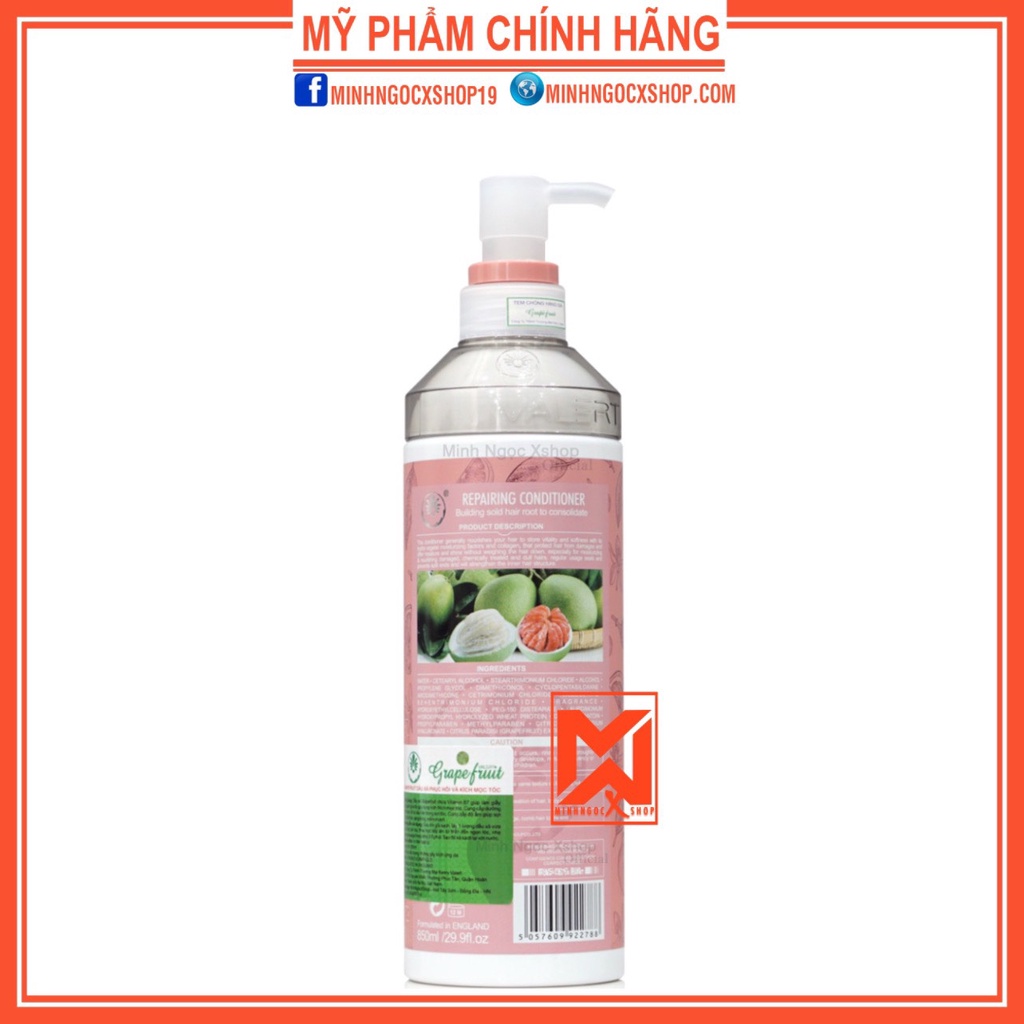 Dầu xả bưởi VALERT GRAPEFRUIT PLUS chống rụng kích mọc tóc phục hồi hư tổn 850ml chính hãng