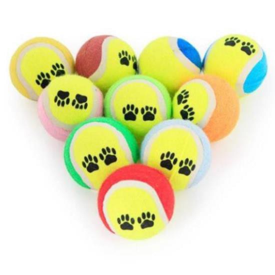 Giảm giáĐồ chơi chó mèo Bóng tennis in hình dấu chân dễ thương cho thú cưng