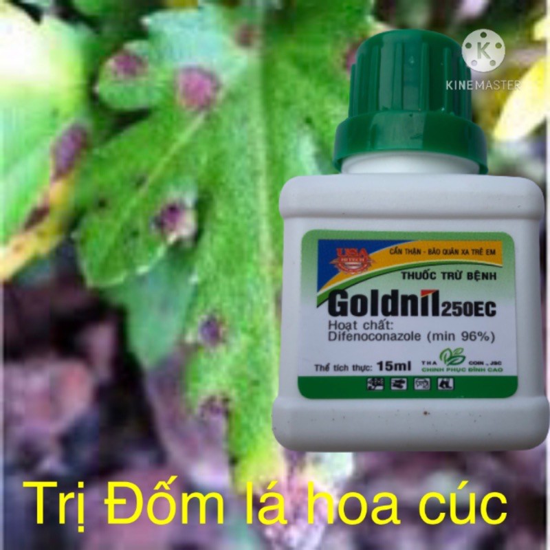 Thuốc đặc trị phấn trắng, đốm lá, rỉ sắt trên hoa cây cảnh Goldnil 250EC 15ml