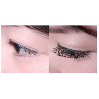 Keo dán mi Vacosi Studio Eyelash 3D Mẫu Mới