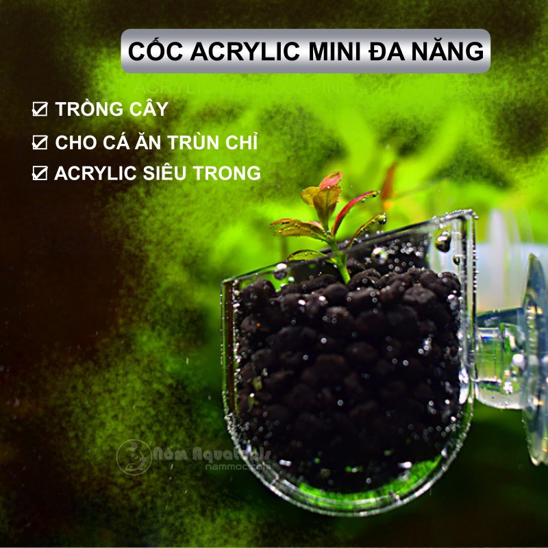 Plant Cup - Cốc Acrylic Mini Đa Năng | Trồng cây - Cho Cá Ăn Trùn Chỉ