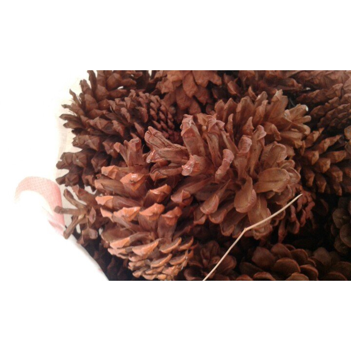 Quả thông tự nhiên trang trí cây Thông Giáng sinh