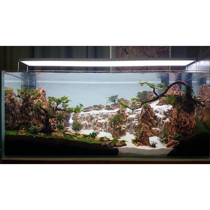 ĐÁ TIGER TRANG TRÍ SET UP HỒ CÁ THỦY SINH
