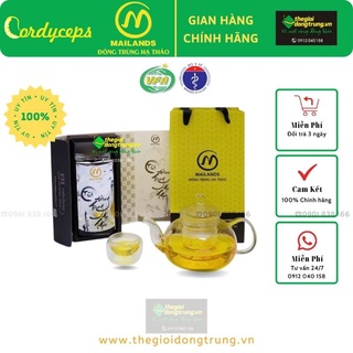 Trà Đông trùng hạ thảo Mailands