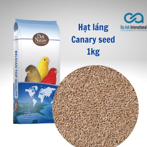 Hạt láng cung cấp dinh dưỡng cho các dòng chim ăn hạt  - GÓI CHIẾT 1KG