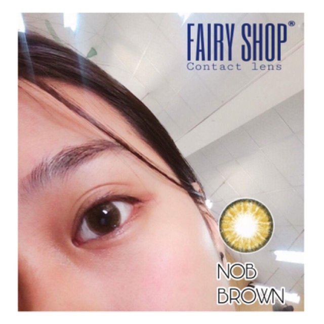 Áp tròng NOB BROWN 14.2mm - Kính Áp Tròng FAIRY SHOP CONTACT LENS