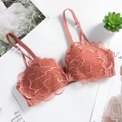 Bộ đồ lót ren, áo ngực su đúc, áo lót ren không gọng push up AR88 | BigBuy360 - bigbuy360.vn