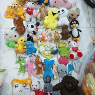 Gấu bông tuyết