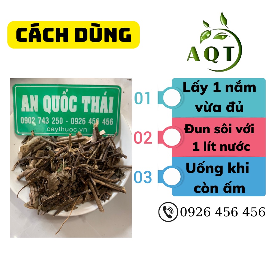 Cây Kim Vàng 1KG Phơi Khô, Giảm Đau Xương Khớp, Ngừa Hen Suyễn