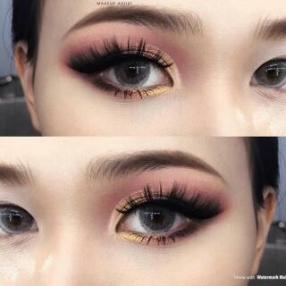 Lens xám Tây không độ free khay