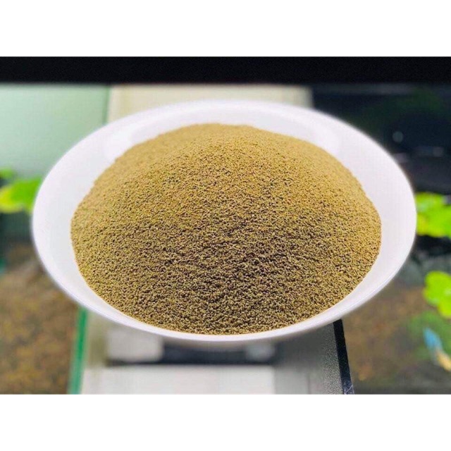 Cám Xanh Guppy Quận 8