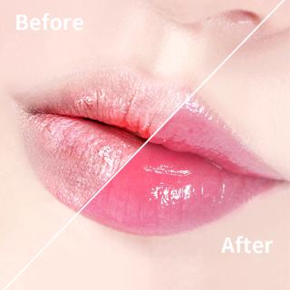 Son Dưỡng Môi Novo Cấp Ẩm 80g