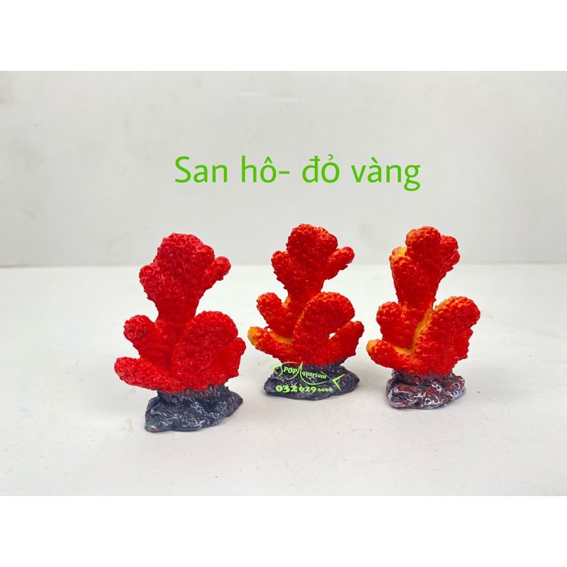 San hô trang trí bể cá nhỏ