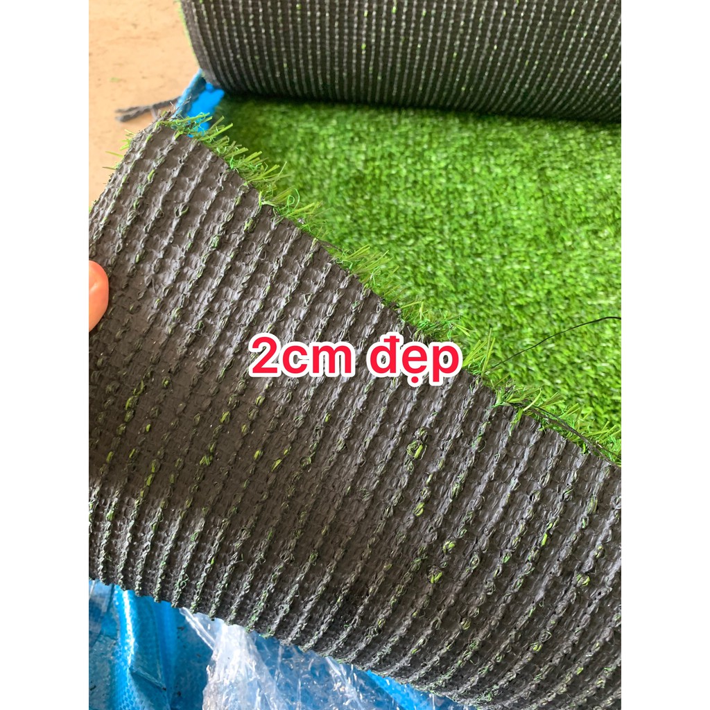 Tấm cỏ nhân tạo kích thước 50cm x 50cm