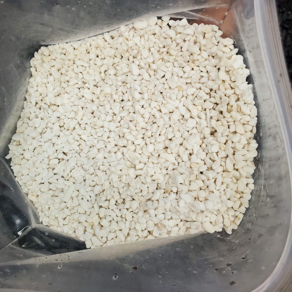 Đá Trân Châu Perlite giá thể trồng kiếng lá, xương rồng, sen đá - bọc 500g