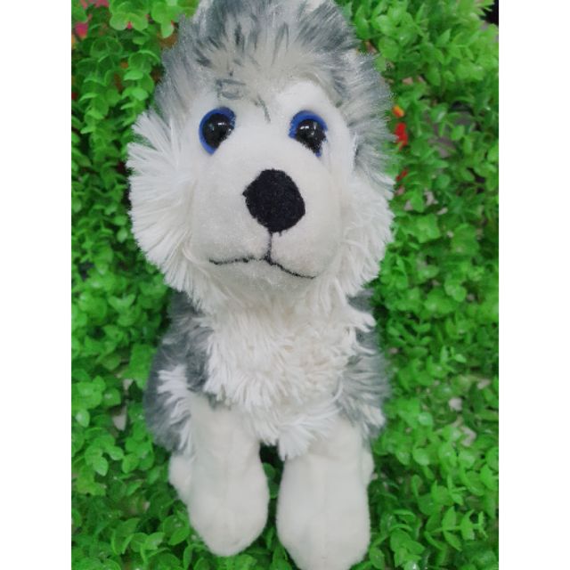 Gấu bông chó Alaska mắt thủy tinh
