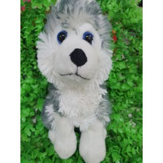 Gấu bông chó Alaska mắt thủy tinh