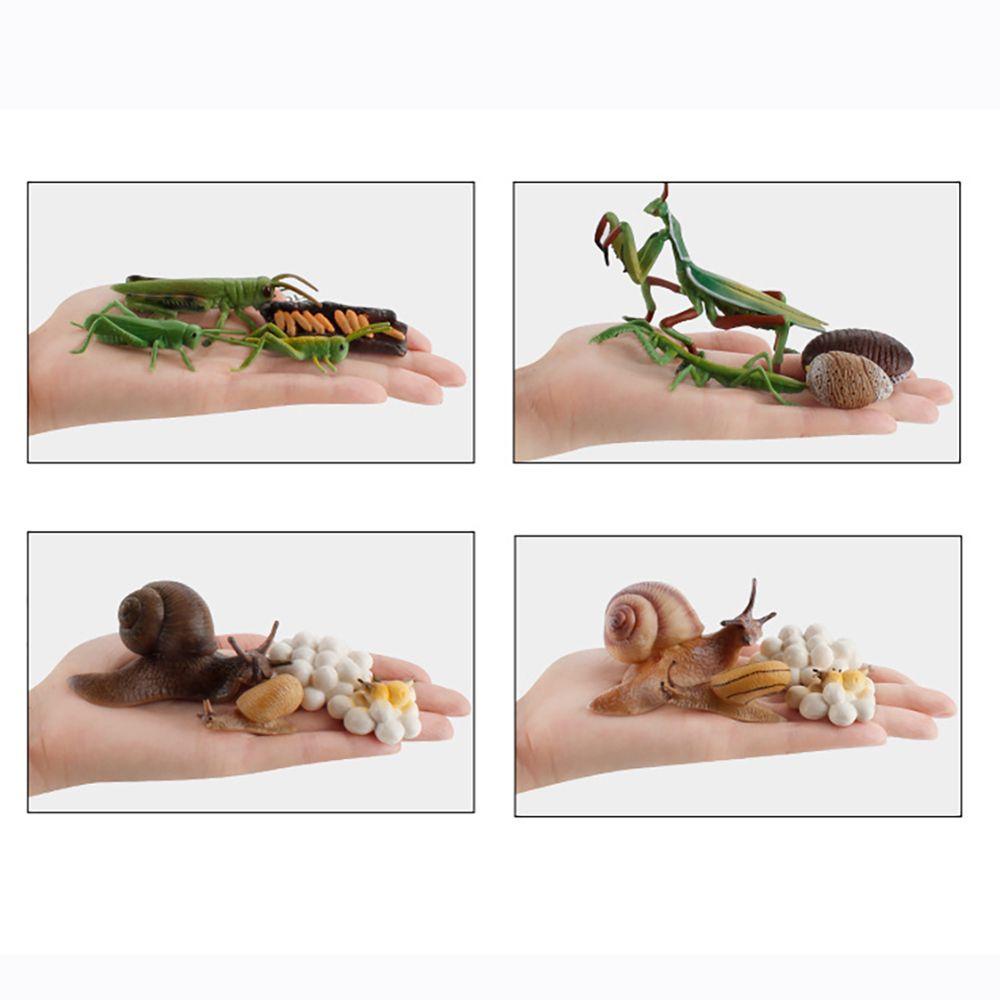 Đồ Chơi Hình Côn Trùng Giáo Dục Sớm Cho Bé