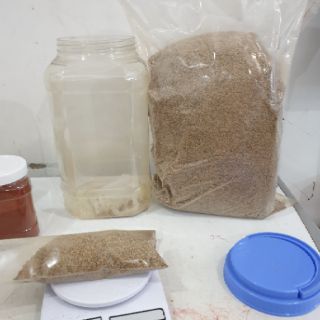 Bobo sấy khô ( thức ăn cho cá cảnh )