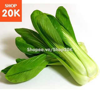 Hạt giống Cải Thìa
