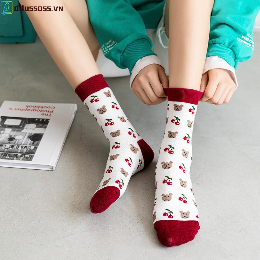 Vớ Cotton In Hình Gấu Đáng Yêu Dành Cho Người Lớn