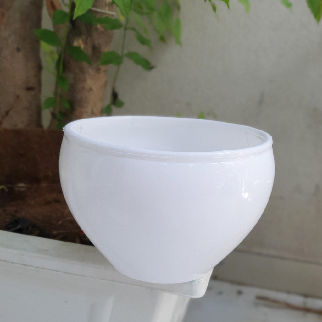 Bộ 2 chậu hoa lan bầu màu trắng 20x14cm