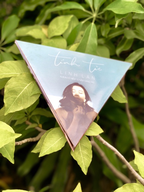 CD Tính Từ | BigBuy360 - bigbuy360.vn