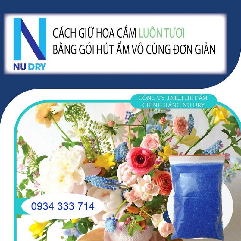 Túi hút ẩm Máy ảnh linh kiện điện tử xanh hạt hút ẩm Phòng Ngủ  Quần áo Giày dép 50/100/200 GR - NUD RY