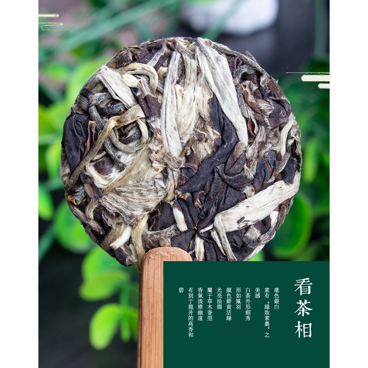 BÁNH TRÀ MINI BẠCH HÀO NGÂN CHÂM - LÃO BẠCH TRÀ PHÚC KIẾN VÙNG NÚI CAO VÂN NAM (01 BÁNH DÙNG THỬ KHOẢNG 10 GRAM)