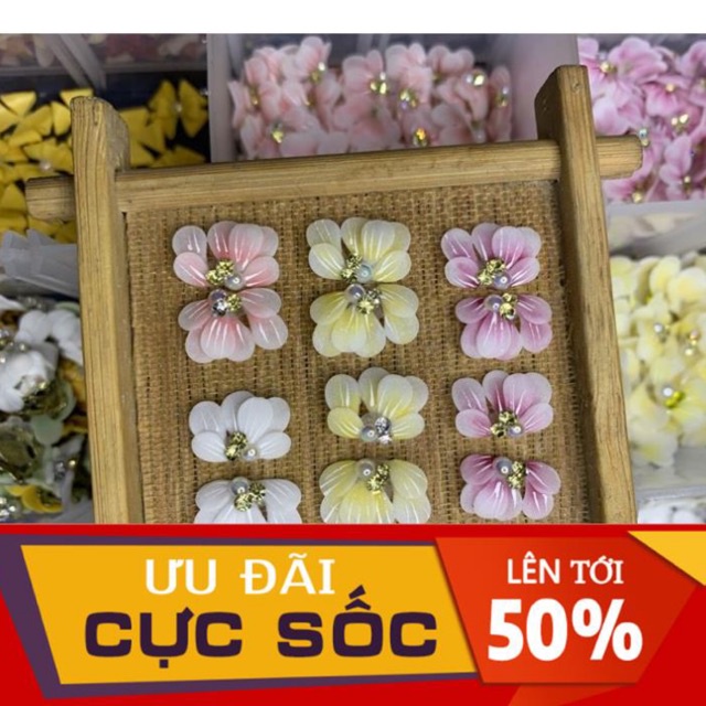 Hoa bột nail - Hoa cúc ruby