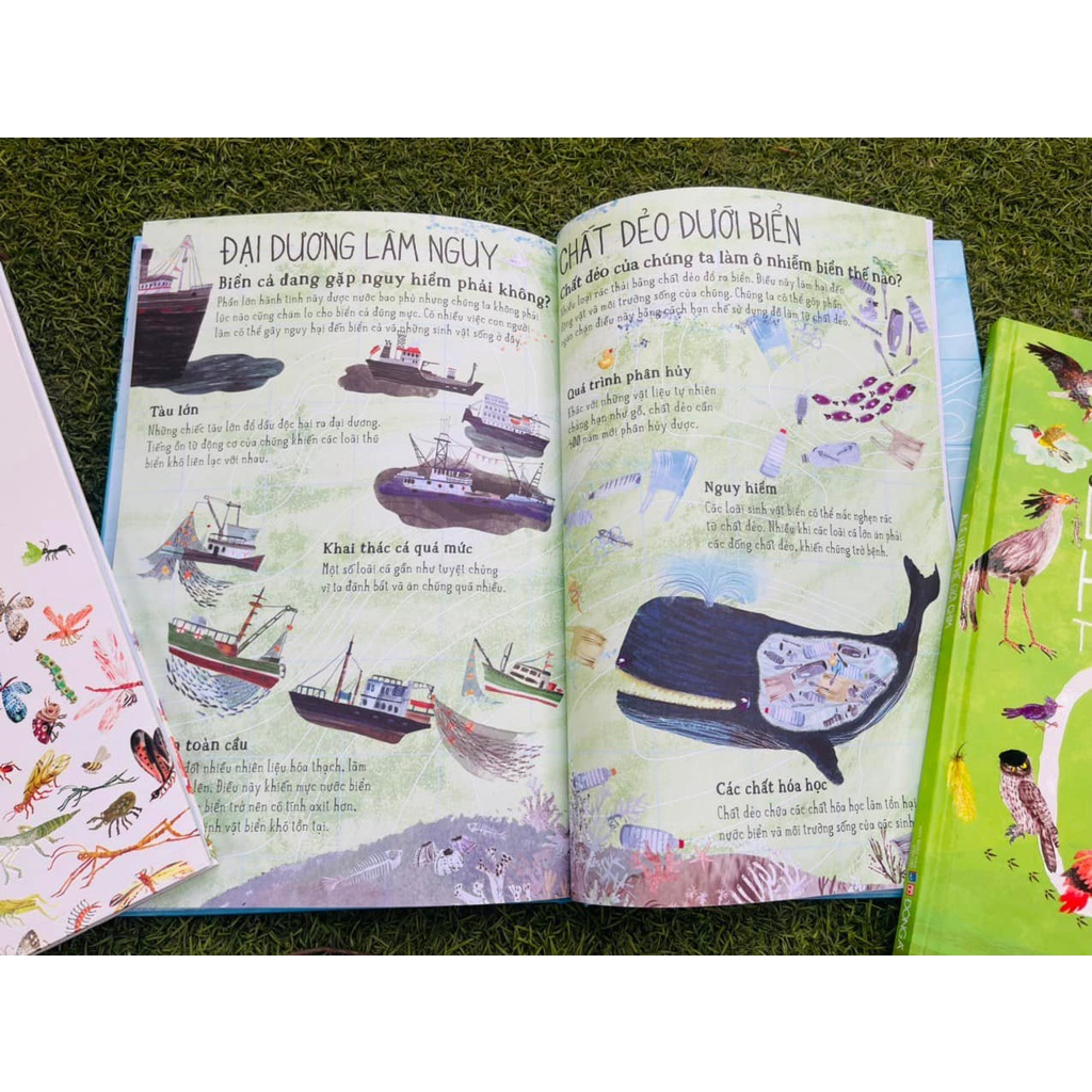 Sách - A Lê Hấp! Thế Giới Biển (Bình Book)