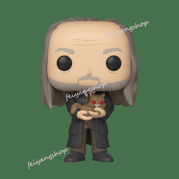 Funko Pop Đồ trang trí Đồ Chơi Nhân Vật Trong Phim Harry Potter